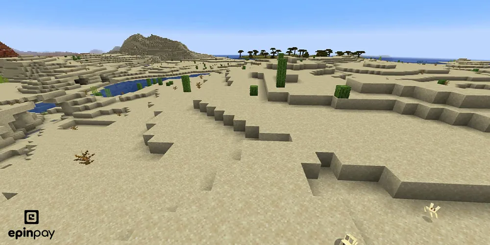 Desert minecraft