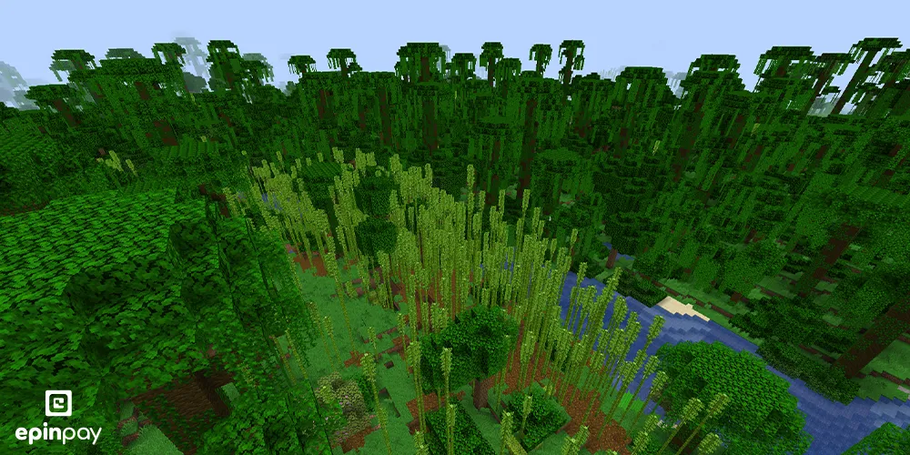 Jungle-minecraft