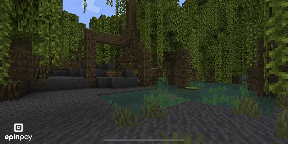 Mangrove Swamp