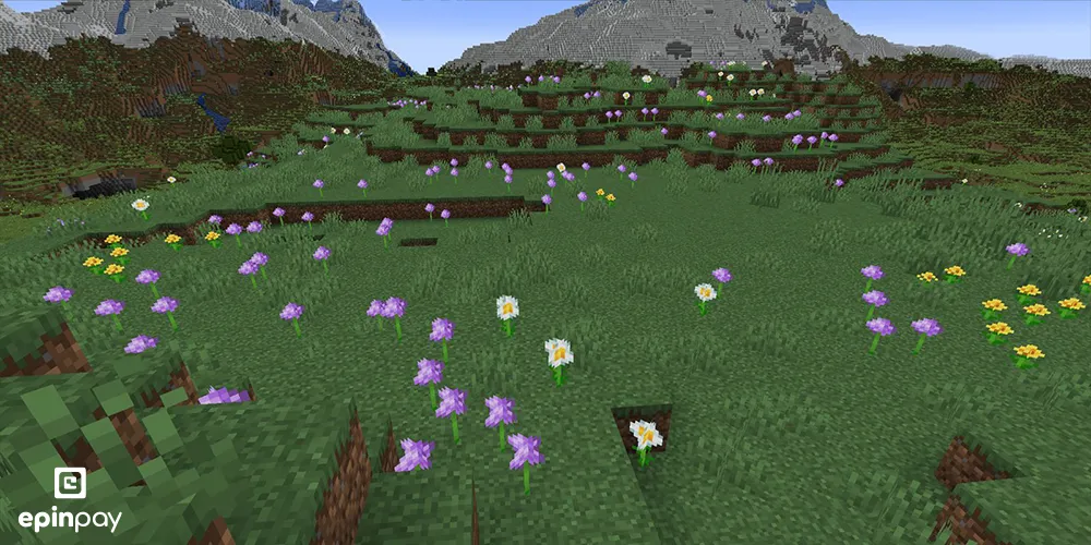 Meadow-minecraft
