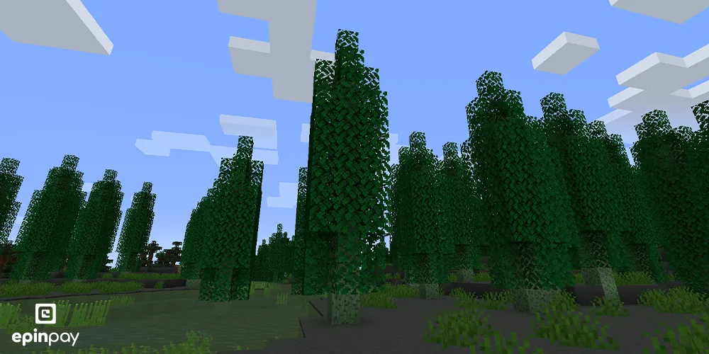 Swamp-minecraft