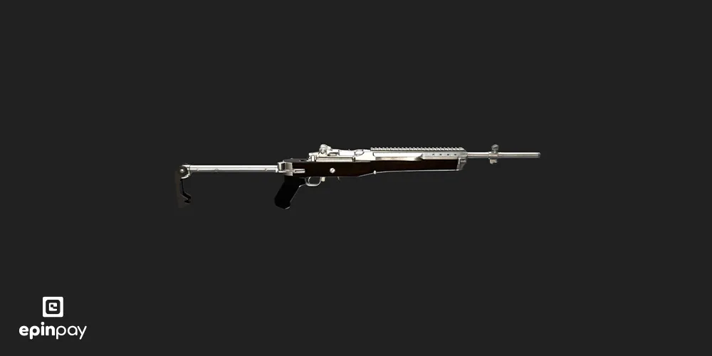 Mini-14 pubg guns