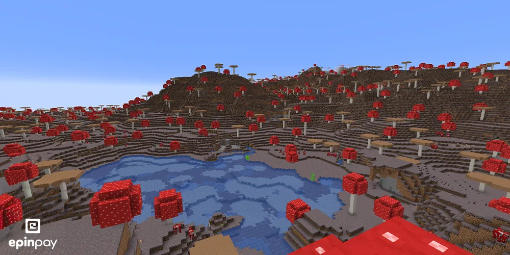 Mushroom Fields