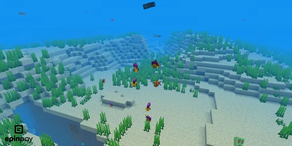 Ocean (Warm + Lukewarm)