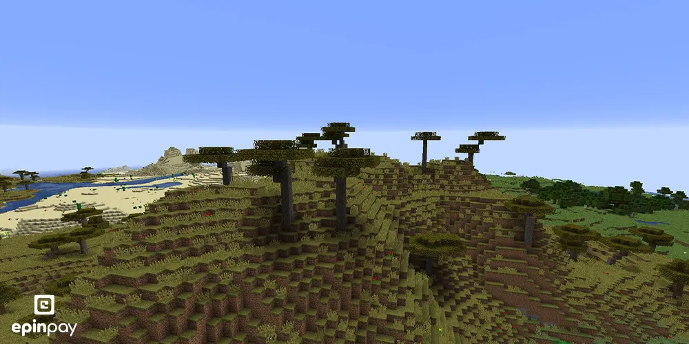 Savanna Plateau