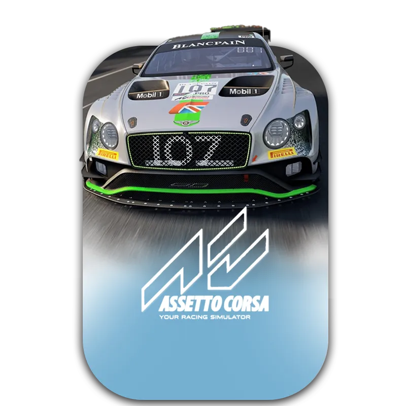 Assetto Corsa - Hızlı Aktivasyon | epinpay