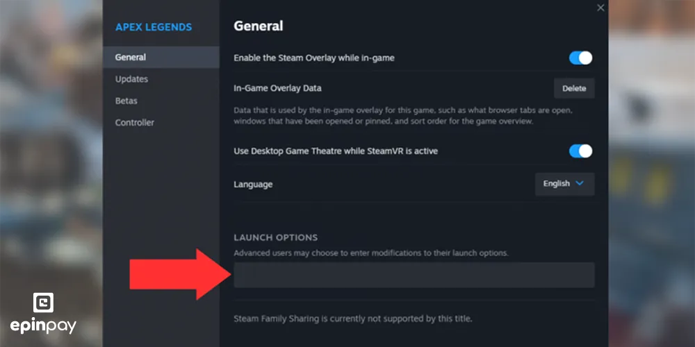 apex legends steam ayarları
