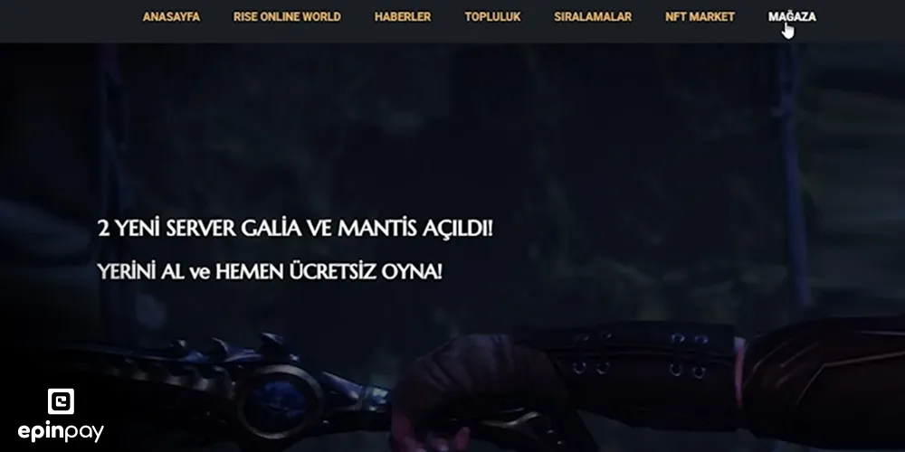 rise online cash yükleme 2