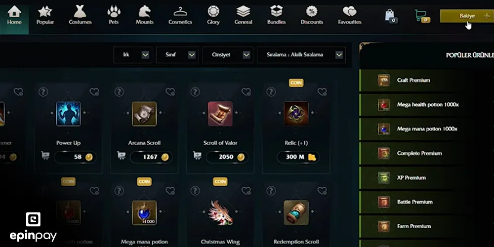 rise online cash yükleme 3